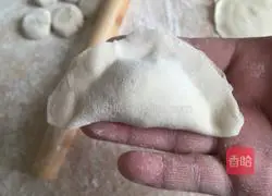 Illustration of how to make dumplings with pork and fennel stuffing 15