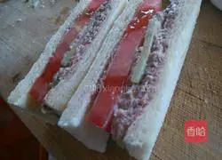 Tuna fish sandwich recipe 14