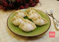 Illustration of how to wrap dumplings 14