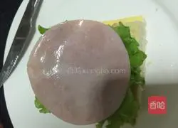 Cheese and ham sandwich Practice illustration 6