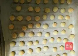 Illustration of how to make Wangzai steamed buns 8