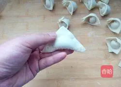 Illustration of Homemade Wonton Making 5