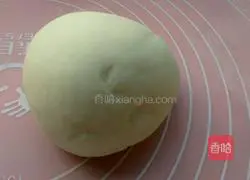 Illustration of how to make carrot and pork dumplings 6