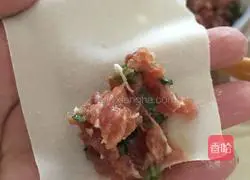 Illustration of making homemade meatball wontons 7