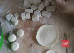 Illustration of how to make vegetarian dumplings 2