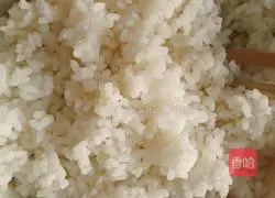 Soy Sauce Fried Rice Recipe Illustration 1