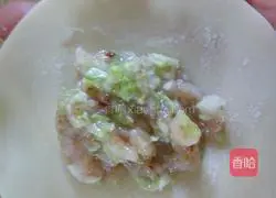 Illustration of how to make mushroom, pork and cabbage dumplings 8