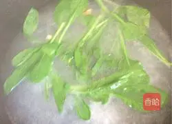 Illustration of how to make small wontons (pork bone and scallop soup base) 7