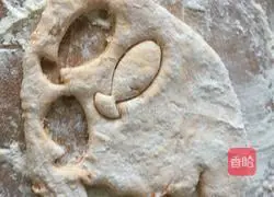 Pumpkin buns Practice illustration 11