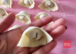 Illustration of how to make shrimp wontons 8