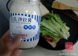 Illustration of homemade breakfast sandwich 14