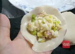 Cabbage Illustration of how to make pork dumplings 6