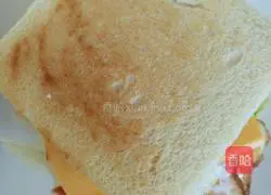 Cheese Egg sandwich recipe 6