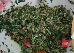 Illustration of how to make dumplings stuffed with pork and fresh meat 4