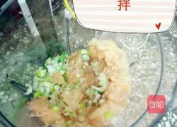 Chicken Wonton Recipe Illustration 6