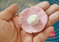 Illustration of how to make cute cat claw dumplings with fruits and vegetables 5