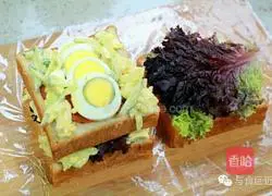 Variety of sandwich recipes 8