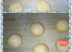 Illustration of how to make carrot blossom steamed buns 6