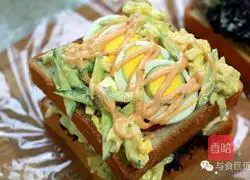 Variety of sandwich recipes 9