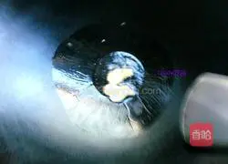 Illustration of how to make fish cake bowl noodles 3