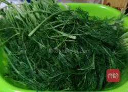 Pork Illustration of how to make fennel stuffed buns 1