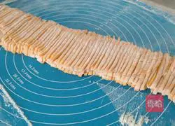 Illustration of homemade vegetable noodles 12