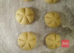 Pumpkin pie recipe 7