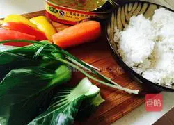 Assorted Illustration of how to make colorful fried rice 1