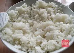 Fried rice Illustration of how to do it 1