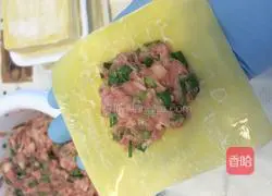 Illustration of how to make wontons 9