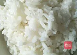 Soy Sauce Fried Rice Recipe Illustration 3