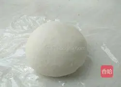 Illustration of how to make shrimp dumplings (including dumpling skins) 2