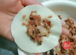 Illustration of making dumplings with mushroom and pork filling 5