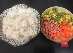 Assorted Fried Rice Recipe Illustration 1