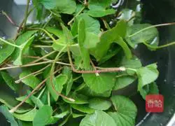 Illustration of how to make fried rice with water chestnut leaves 2