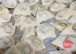 Illustration of how to make wontons 5