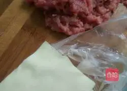 Illustration of how to make fried wontons 2