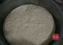 Illustration of how to make steamed buns (in any shape) 2