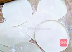 Squid Three Illustration of how to make fresh stuffed dumplings 15