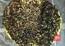 Cheese Pumpkin Pie Recipe Illustration 9