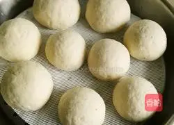 Illustration of how to make bean dregs steamed buns 7