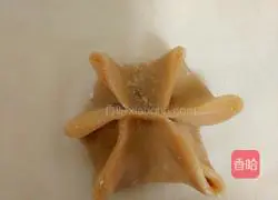 Illustration of how to make dumplings 8