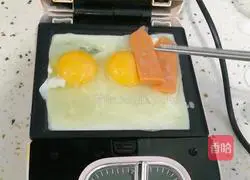 Sandwiches Practice illustration 1