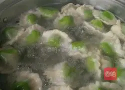 Illustration of making fancy dumplings 22 