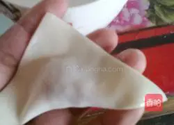 Illustration of how to make wontons 4
