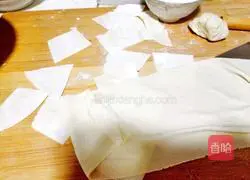 Illustration of how to make shrimp wontons 5