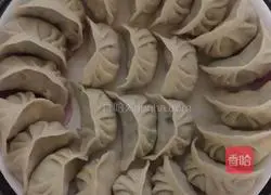 Illustration of how to make dumplings 5