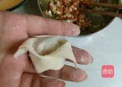 Illustration of how to make wontons 7
