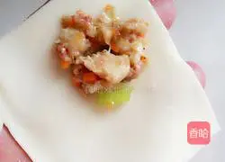 Chicken and Carrot Wonton Recipe Illustration 9