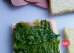 Classic Sandwich Recipe Illustration 4